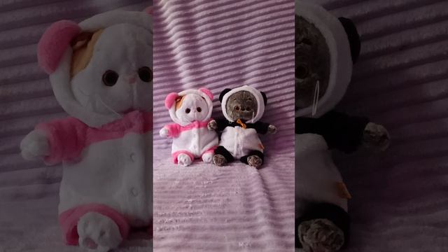 знакомство с басиками! смотреть онлайн