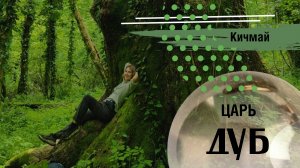ЦАРЬ - ДУБ