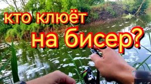 Мормышинг на бисер.Разнорыбье.