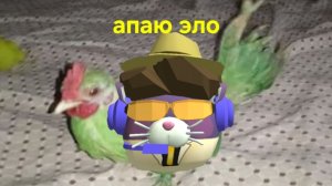 Апаем Эло у ботиков😈😈😈