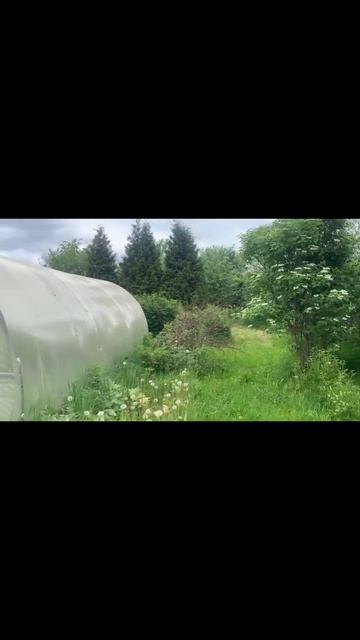 VID_20260526_142058 смотреть онлайн