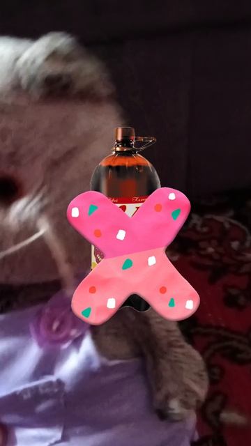 я закончила пятый класс, ты идёшь в ананас 🍍 смотреть онлайн