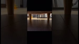 Видео_1