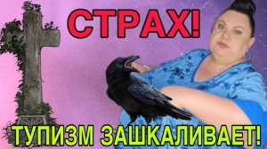 ПТИЦЫ НЕСУТ СМЕРТЬ. СОВСЕМ😱 ДЕВУШКА С УРАЛА. ОБЗОР.