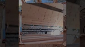 1000059950.mp4 (Собака наблюдает за устройством лестницы на 2-ой этаж в доме А-фрейм)