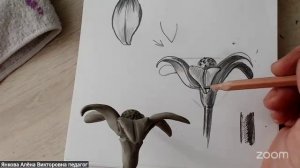 Рисуем с Аленой Янковой 26.5 11:30