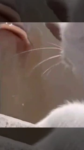 38 смотреть онлайн