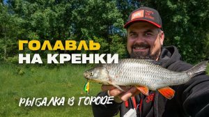 Рыбалка в Городе Голавль на Спиннинг и Новый Воблер Lucky John Haira Tiny 33F SR