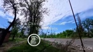 💥🐽 Я трЫста !