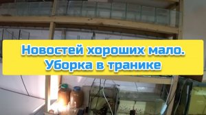 Новостей хороших мало. Уборка в транике