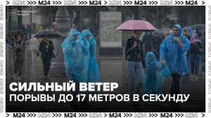 Сильный ветер обрушился на Москву - Москва 24