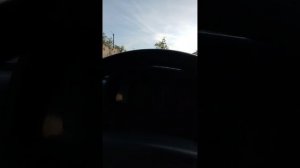 нива ростов