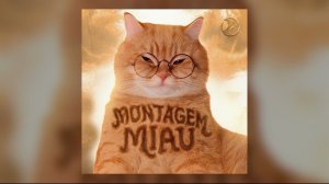 Montagem Miau -Мяу