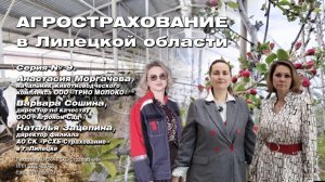 Агрострахование в Липецкой области