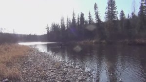 9 Рыбалка в ДЕВСТВЕННОЙ тайге Хариус Ленок Таймень Медведь Выживание 2 часа ВИДЕО  Тайге Охота 2023❄