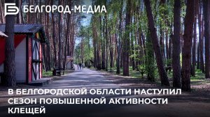 В Белгородской области наступил сезон повышенной активности клещей