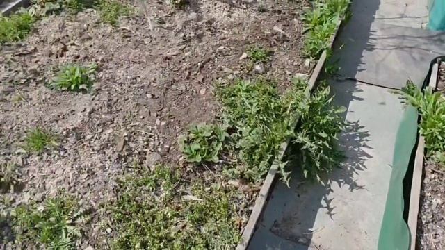 собрание все что наснимала...ч1 смотреть онлайн