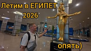 Вновь Египет) летим в Desert rose 5 HURGADA 2026