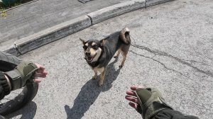 По Томску в погожий денёк на электровелосипеде