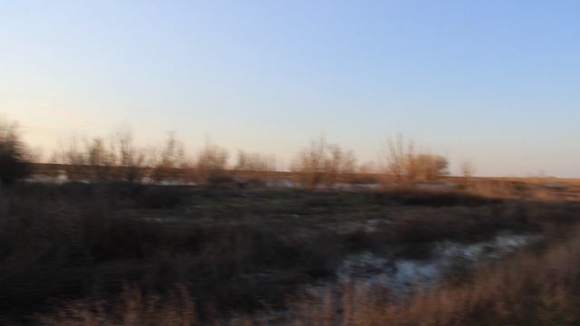 Опустевшее село Новоивановка, Пугачевский район.