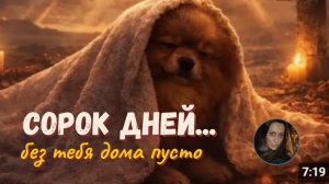 СОРОК ДНЕЙ...