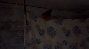 Такого ливня я не помню у нас в Родниках. Дом на юге