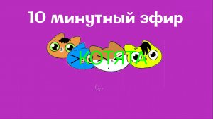 10 минутный эфир телеканала котята заснято в 9:50-10:00