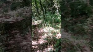 Блуждаю по лесам на горе Медведь в Архипо-Осиповке в поисках старинной Римской башни.