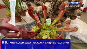 В Ботаническом саду показали хищные растения