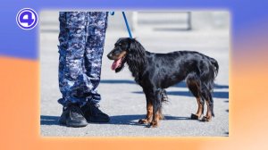 Утренний экспресс от 26.05.26: что главное в жизни?