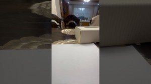 Обзор на бумажные кораблики