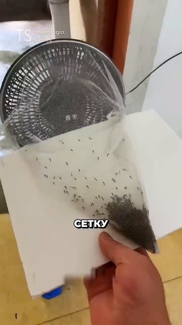 Необычный способ ловить комаров