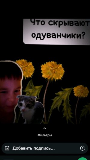 Стрим с сериком