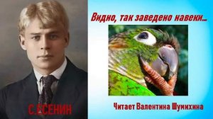 С.Есенин  «Видно, так заведено навеки...» Читает Валентина Шумихина.