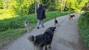 Май в деревне, цветущий Дол и можжевеловая ваза
