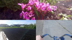 26-05-2026Велосипед, лопата и грядки: мой день..