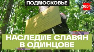 Древние курганы и селища получили охранные таблички в одинцовском лесу