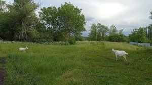 Прогулочка