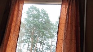 дэдэ это ОШИБКА ПРИРОДЫ