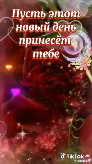 VID-20260526-WA0066.mp4 смотреть онлайн