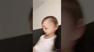 смешные видео