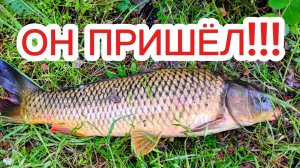 РЫБАЛКА на ДОНУ. Он пришёл!