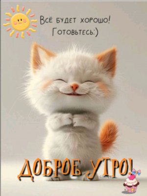 кот