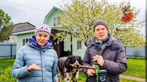 НА 6 СОТКАХ НЕ ДО СКУКИ: КАРТОШКА, ТЕПЛИЦА И… НОВЫЕ ШТОРЫ!