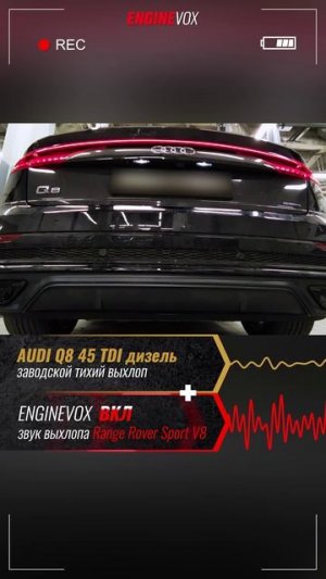 01262_4k AUDI Q8 45 TDI diesel RUS