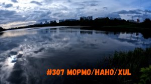 #307 Мормо/Нано/XUL  26 мая 2026