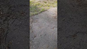 1000061981.mp4