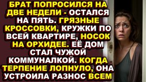 Истории из жизни|Любимый брат устроил ей бытовой ад на пять месяцев|Аудио рассказы|Аудиокниги слушат