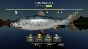 НОВЫЕ ФАРМЫ И РАЗДАЧИ НА МЕДНОМ И ПРОДОЛЖЕНИЕ СЛОЖНЫХ ЗАДАНОК (3) В РУССКОЙ РЫБАЛКЕ 4 РР4