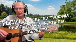 Родина - Сергей Трофим. Разбор песни под гитару